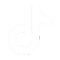 TikTok Logo